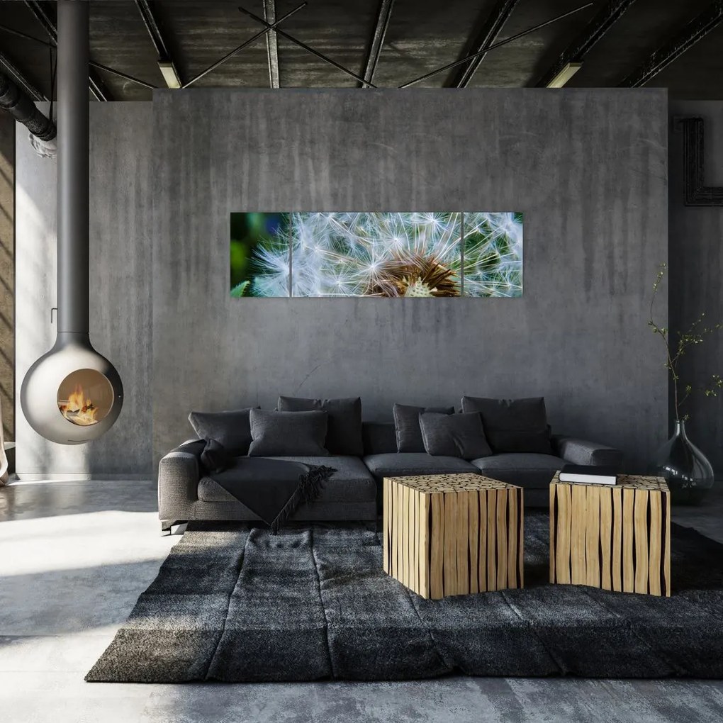 Obraz przekwitniętego dmuchawca (170x50 cm)