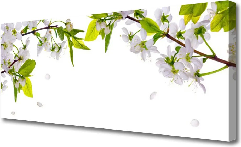 Obraz canvas na ścianę Makro Płatków Kwiatów