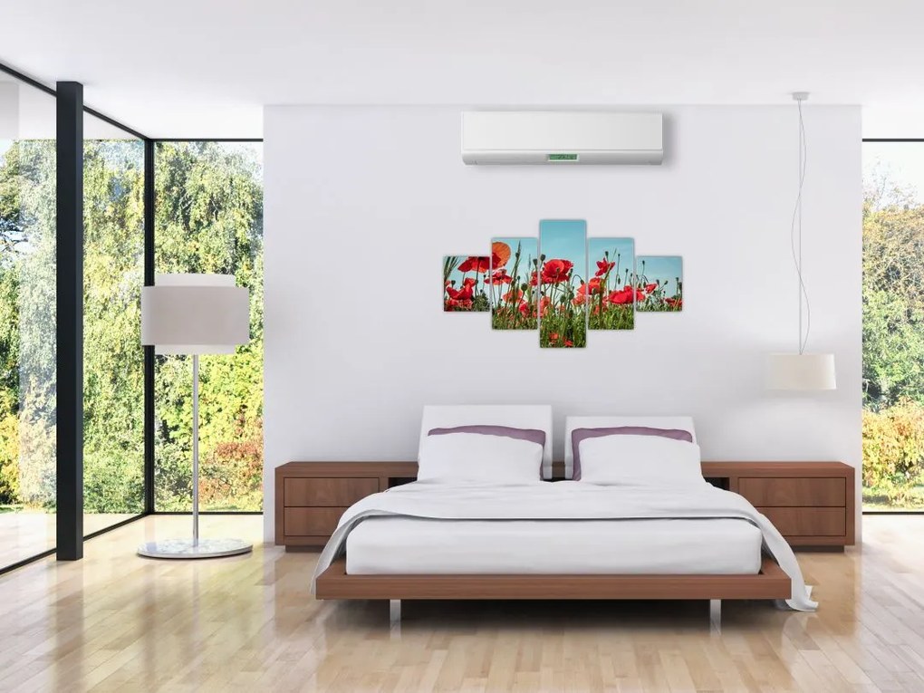 Obraz - Na polu maków (125x70 cm)
