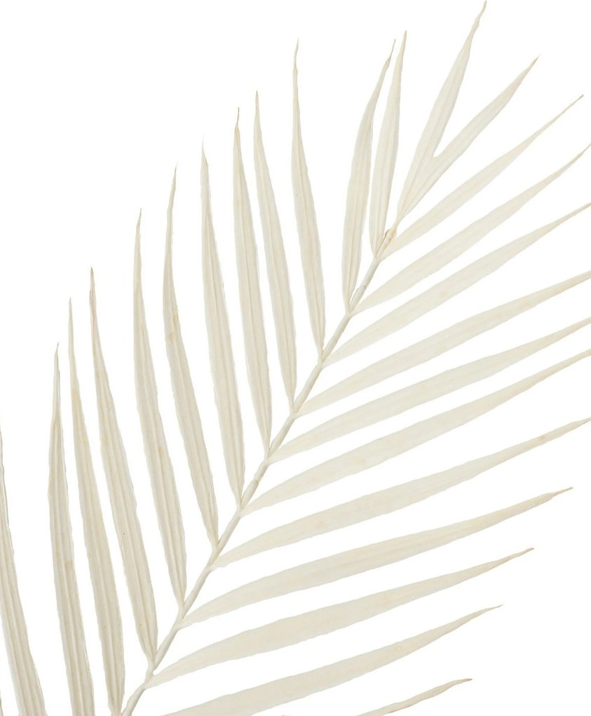 Gałązka Palmera 95 cm white
