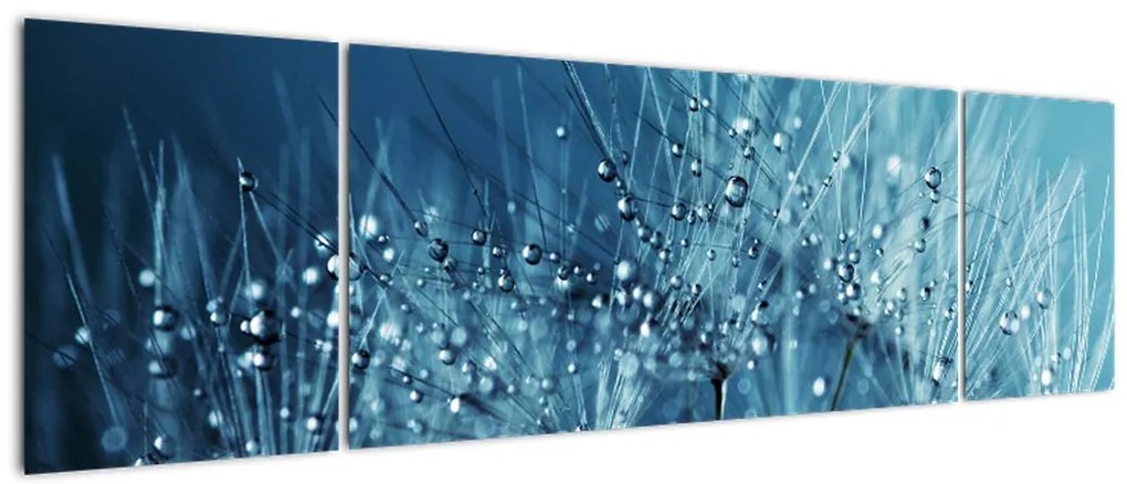 Obraz - Krople rosy (170x50 cm)