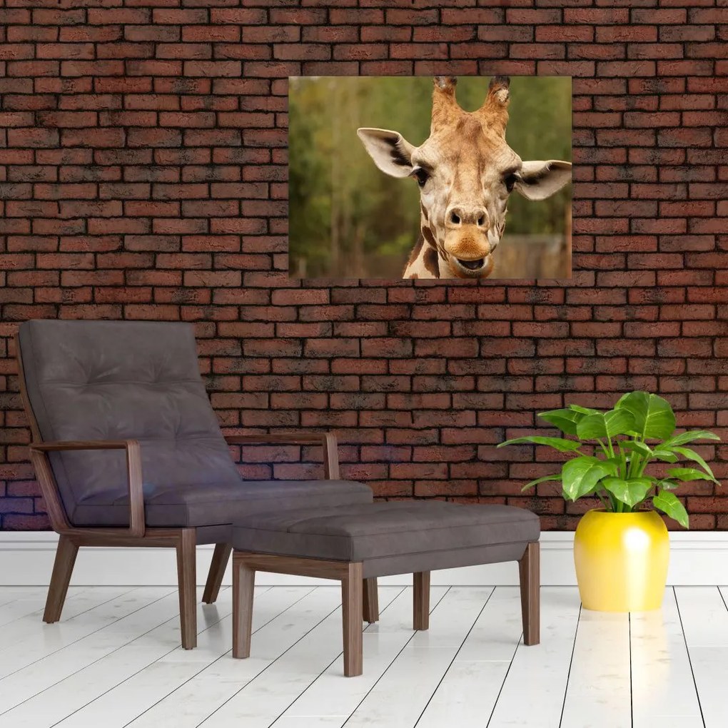 Obraz żyrafy (70x50 cm)
