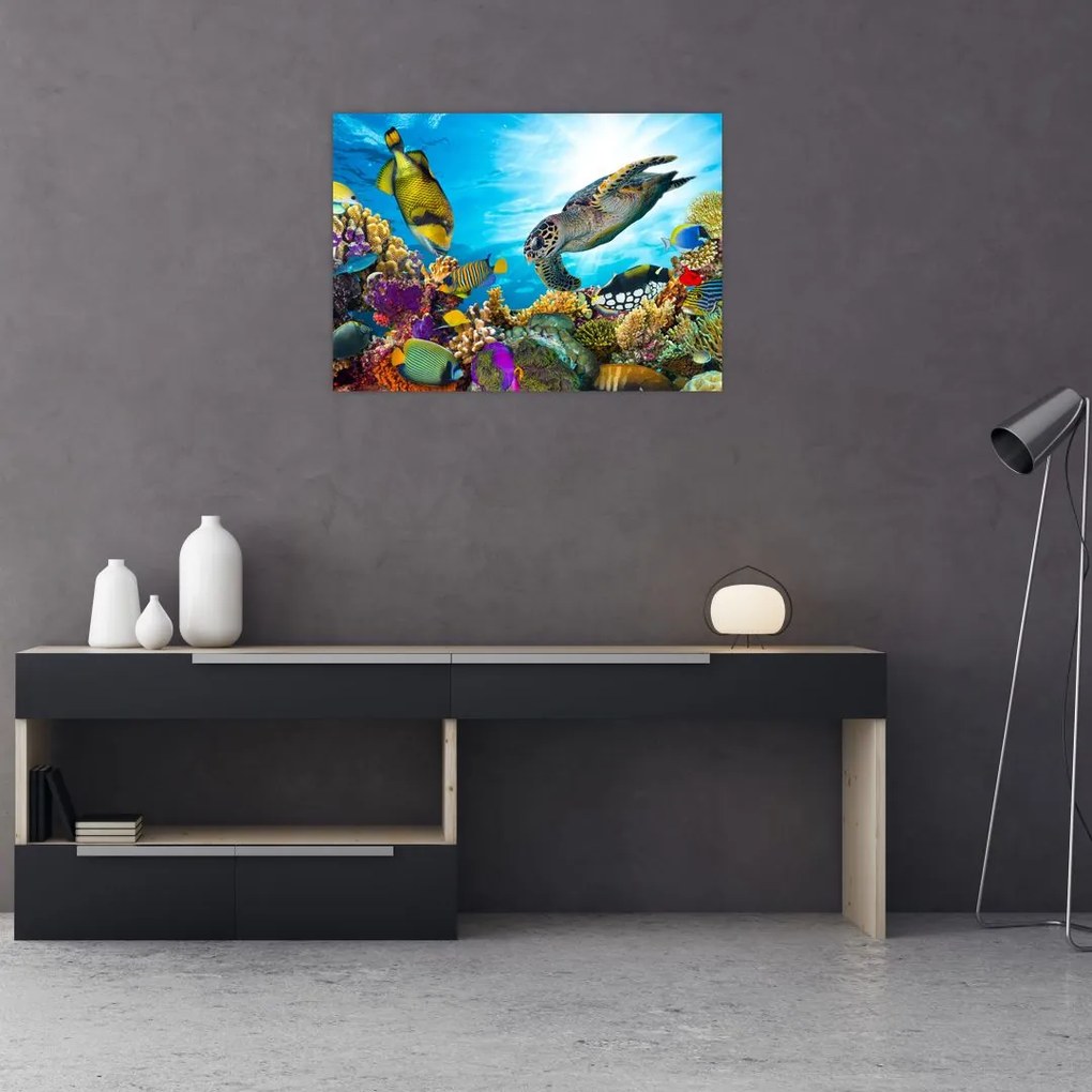 Obraz na szkle rafy koralowej (70x50 cm)