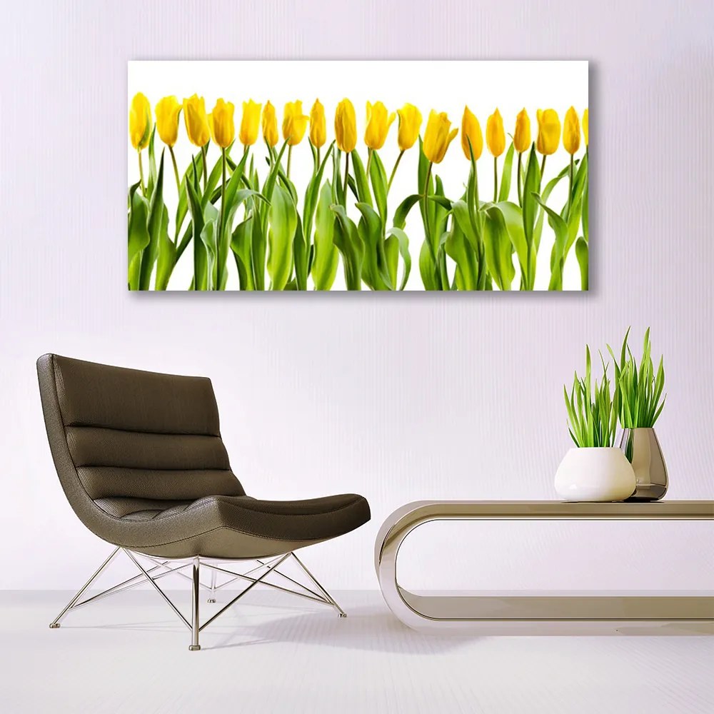 Obraz Canvas Tulipany Kwiaty Natura