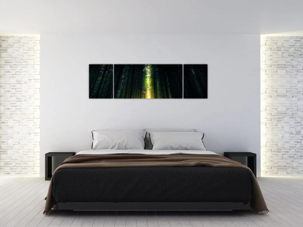 Obraz ciemnego lasu (170x50 cm)