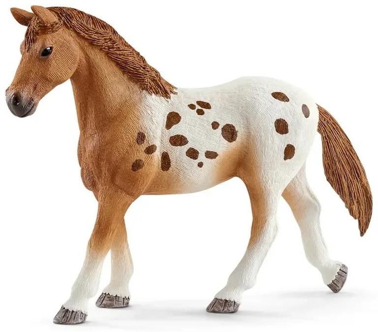 Schleich 42433 Konie Appaloosa i akcesoria do treningu, 7 elem.