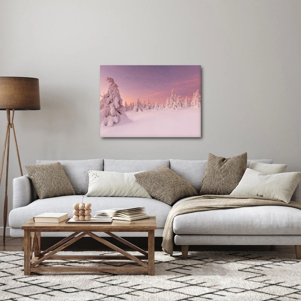 Obraz - Drzewa pod warstwą śniegu (70x50 cm)