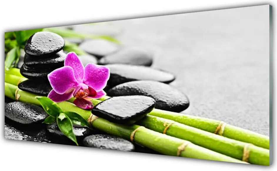 Szkło do Kuchni na Ścianę Egzotyczna Harmonia Spa