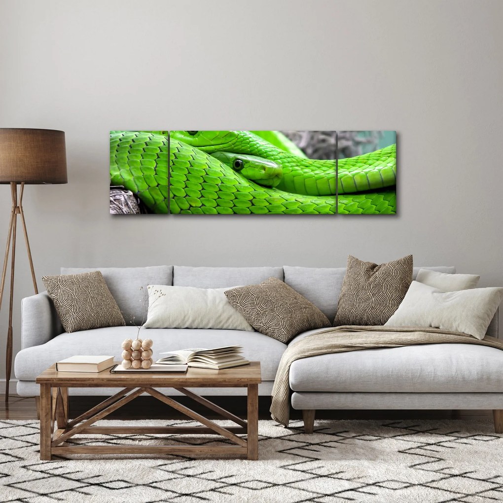 Obraz zielonych węży (170x50 cm)