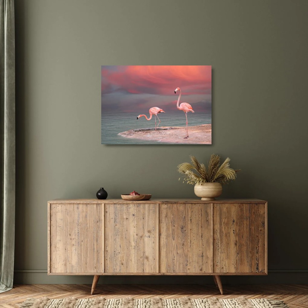 Obraz na szkle flamingów (70x50 cm)