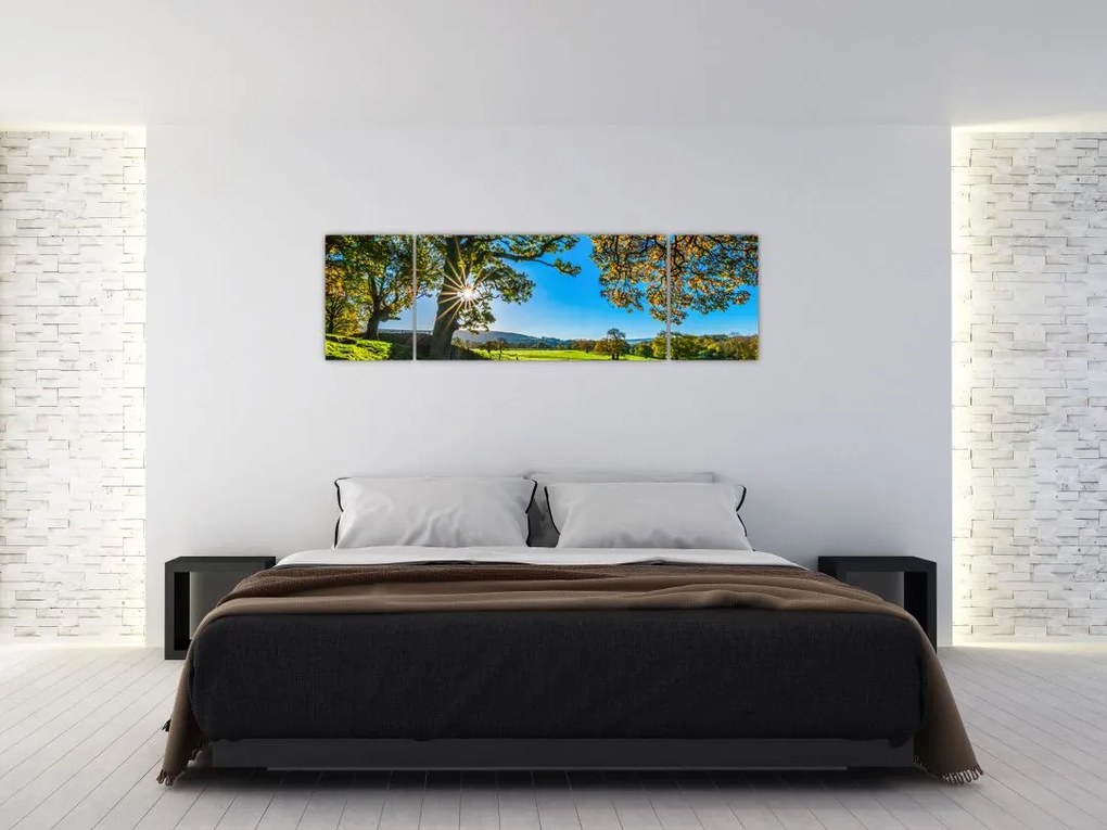 Obraz - widok pola (170x50 cm)