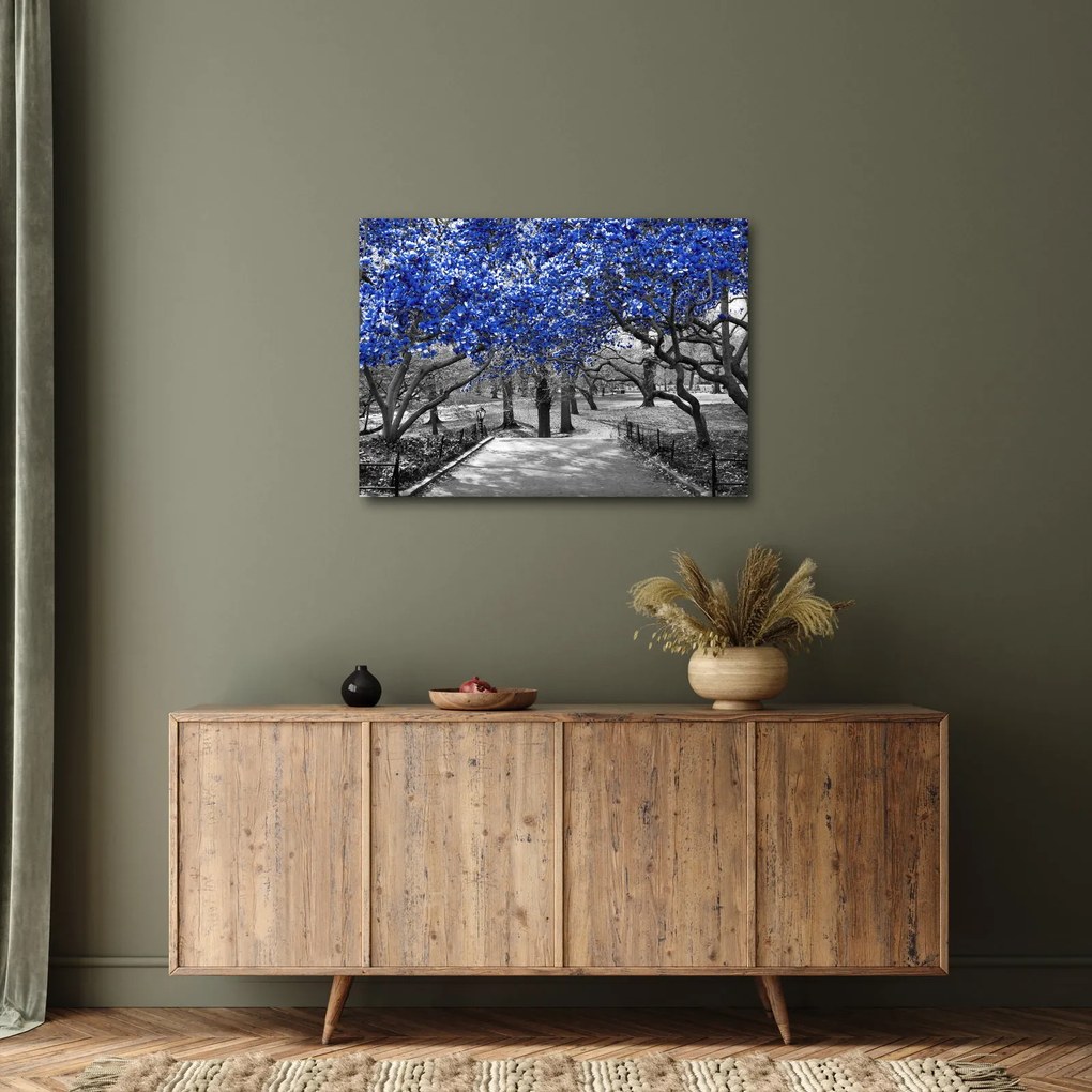 Obraz - Niebieskie drzewa, Central Park, New York (70x50 cm)