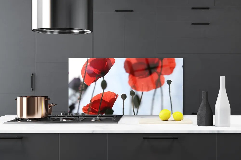 Panel Kuchenny Polne Maki W Rozkwicie