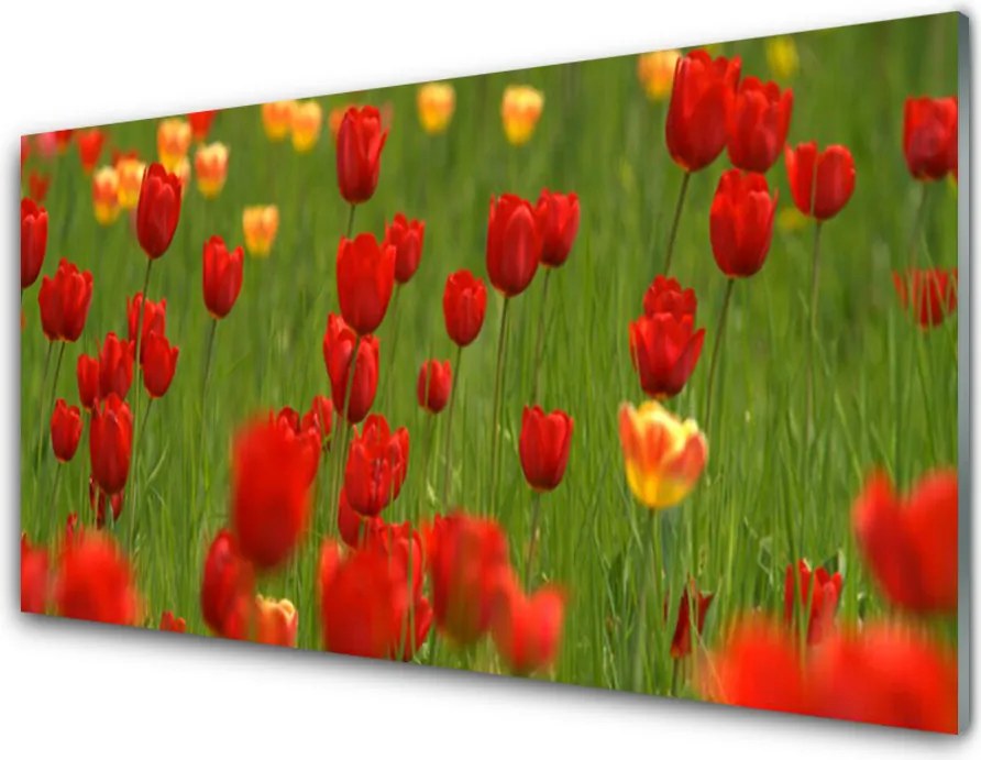 Panel Kuchenny Wiosenna Świeżość Tulipanów