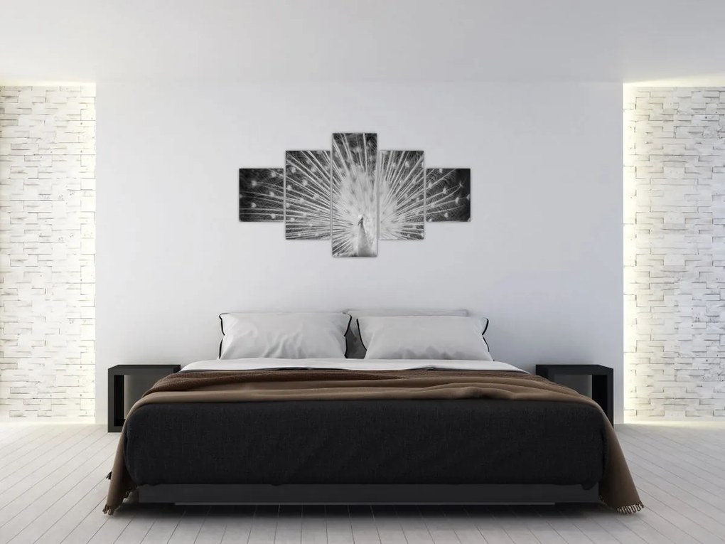 Obraz - Biały paw (125x70 cm)