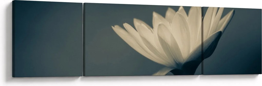 Obraz kwiatu (170x50 cm)
