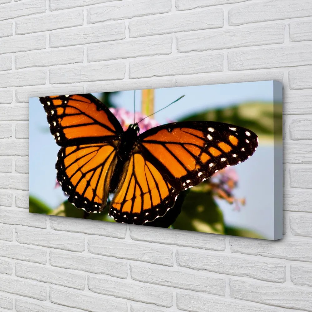Fotoobraz na płótnie Kolorowy Motyl