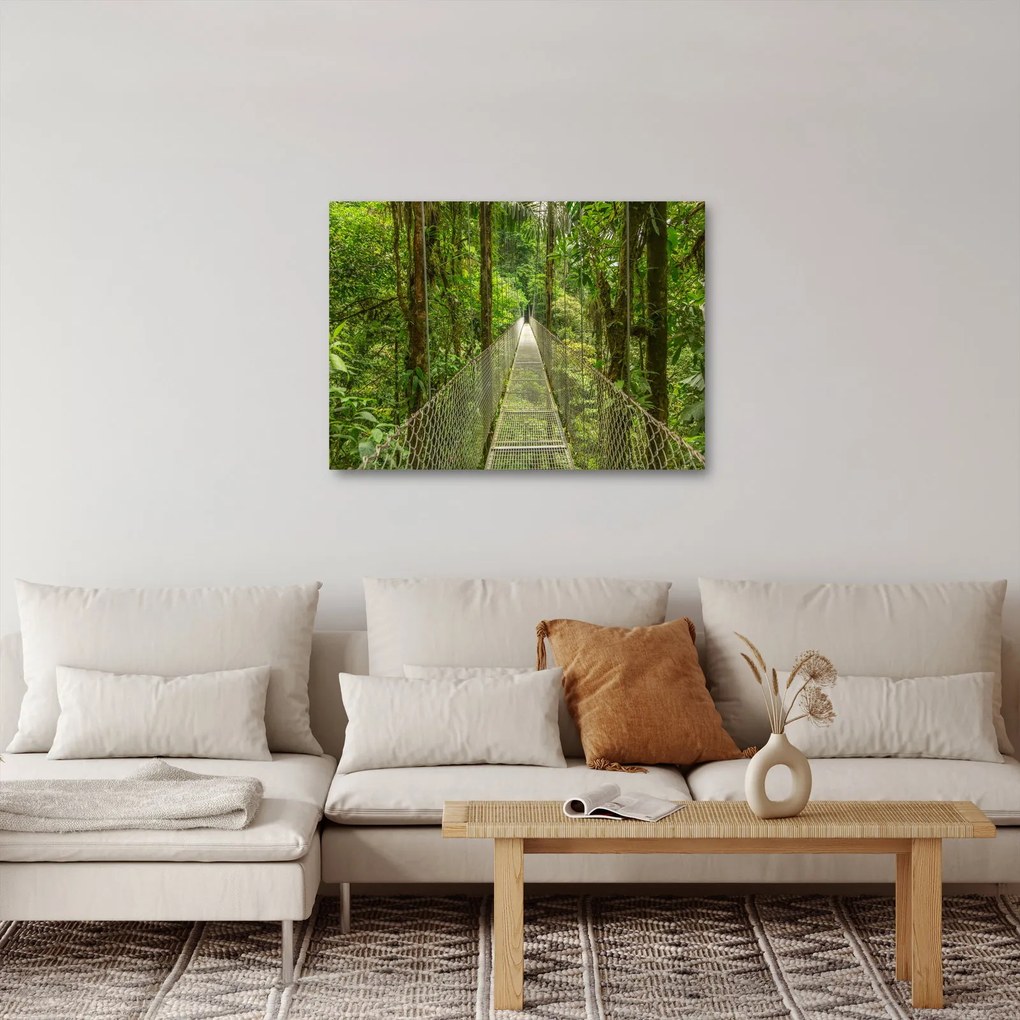 Obraz - Most wiszący (70x50 cm)