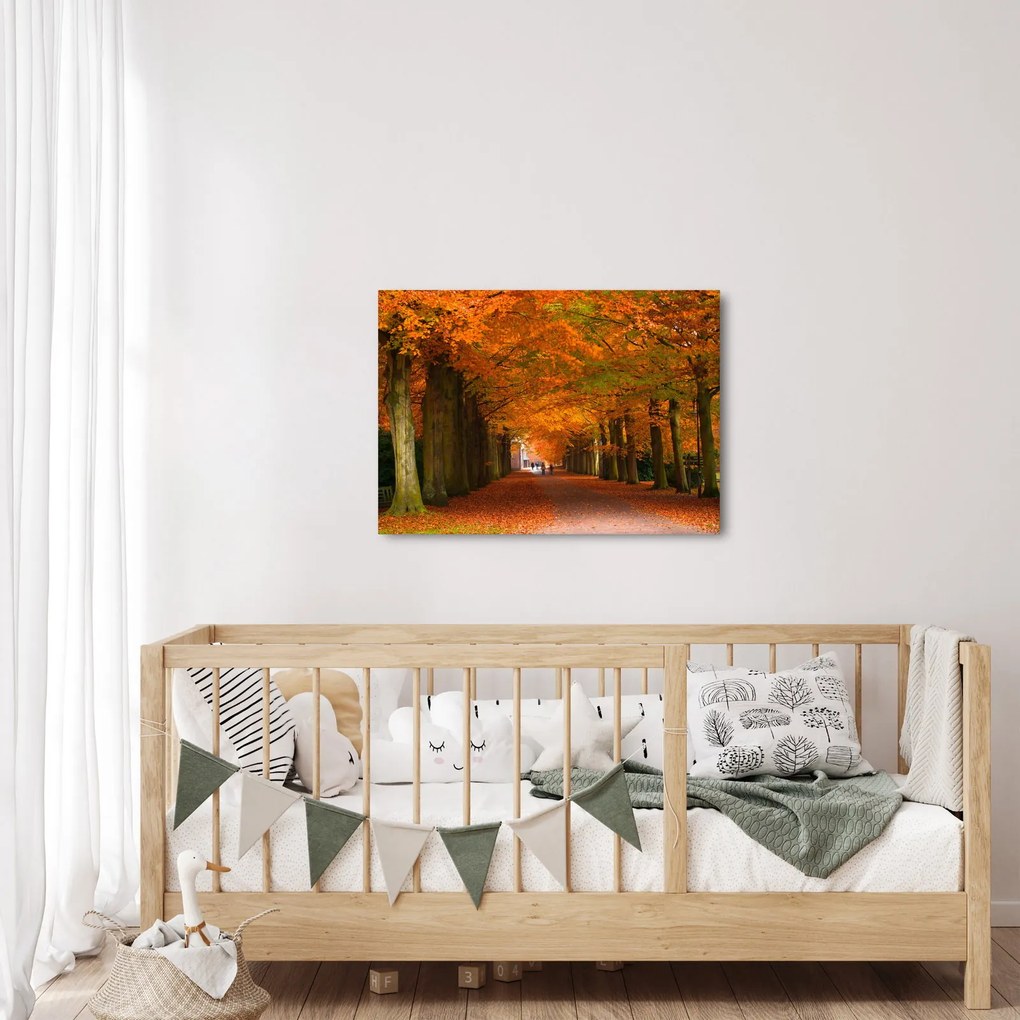 Obraz - Aleja drzew jesienią (70x50 cm)
