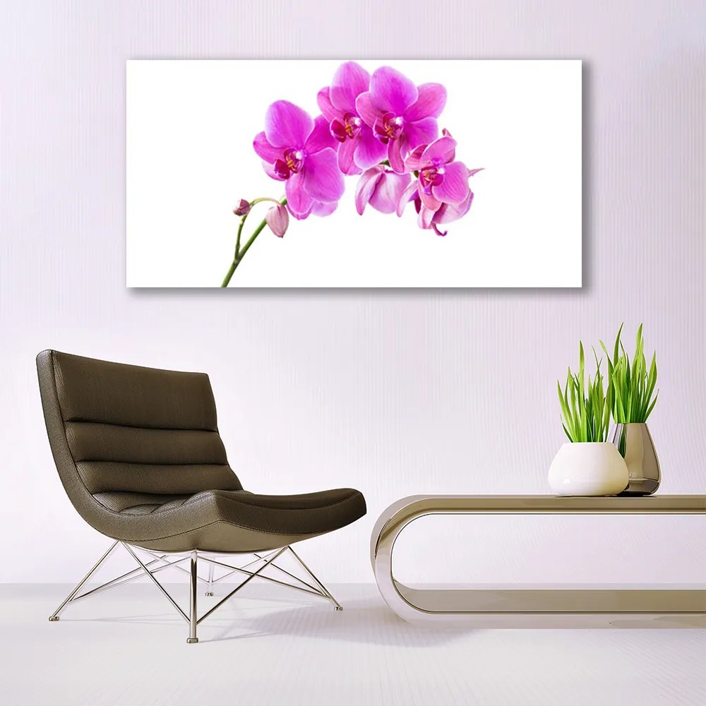 Obraz Canvas Storczyk Kwiat Orchidea