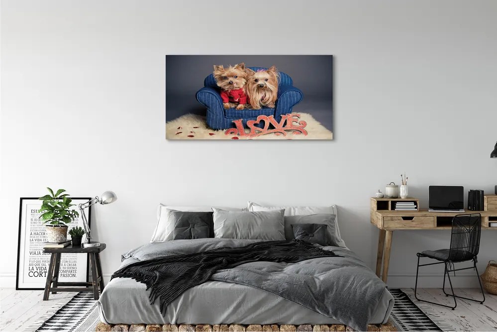 Duży obraz na płótnie Urocze Yorki