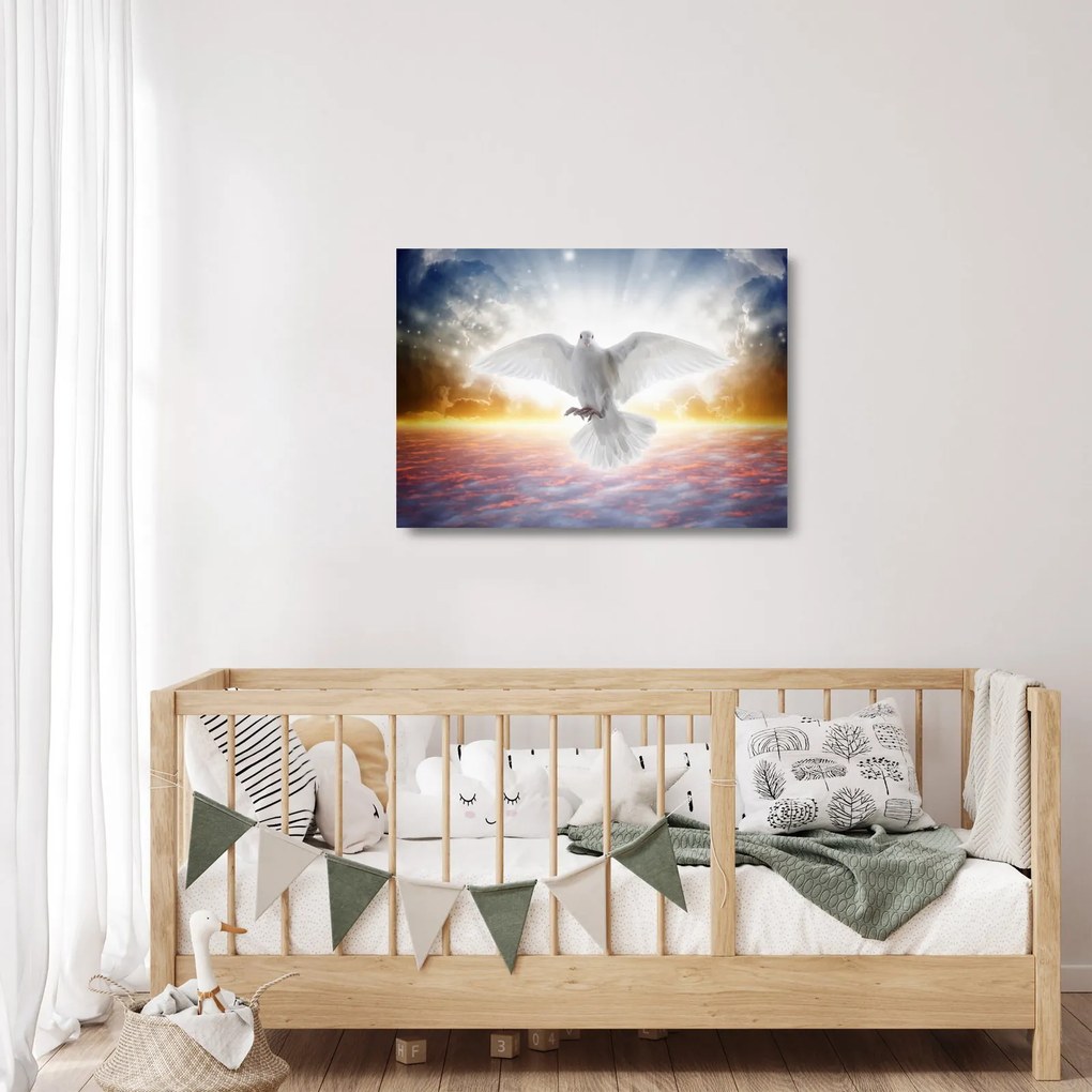 Obraz na szkle gołębicy (70x50 cm)