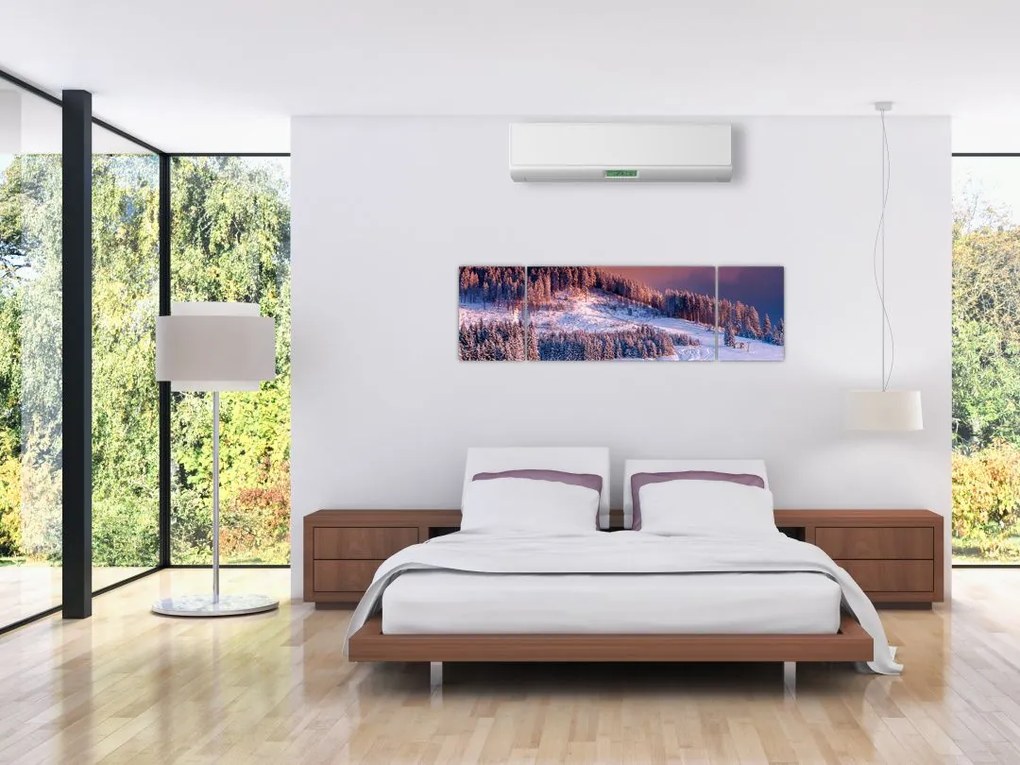 Obraz zimowego krajobrazu (170x50 cm)