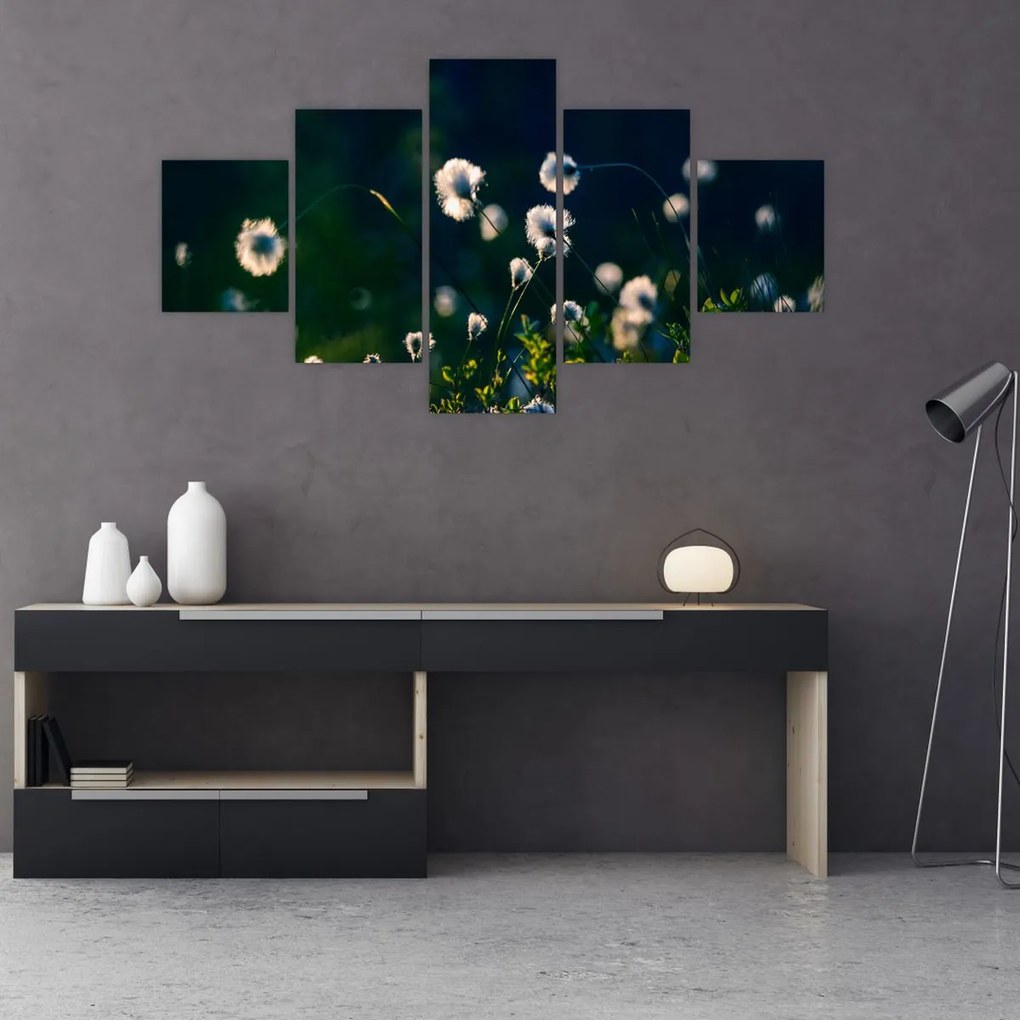 Obraz - Trawa (125x70 cm)