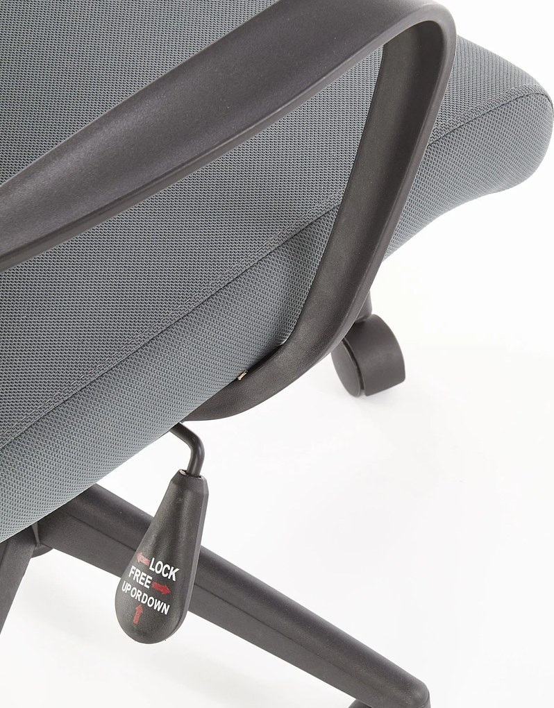 Krzesło gabinetowe z regulacją podparcia lędźwiowego Arsen Halmar