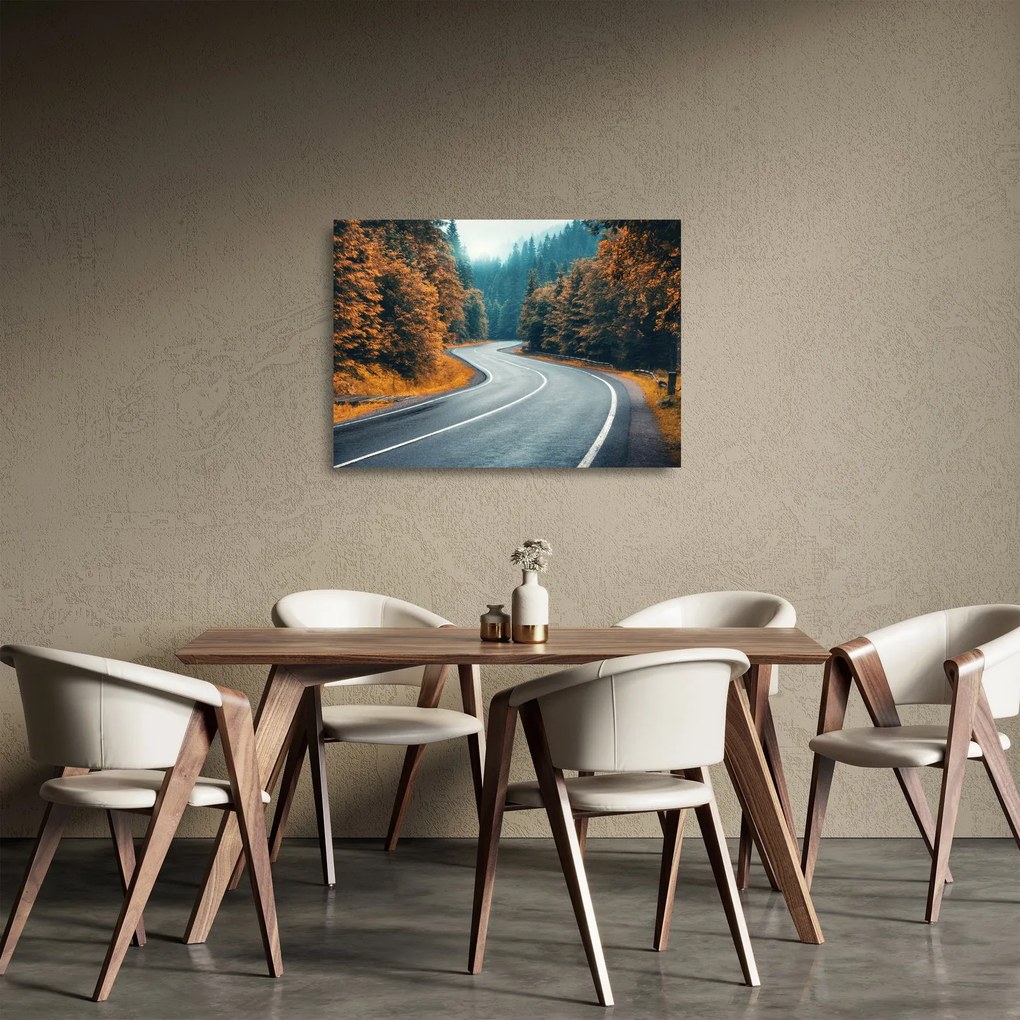 Obraz na szkle - Kręta droga (70x50 cm)