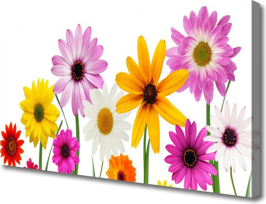 Obraz canvas na ścianę Radosna Łąka Pełna Kwiatów