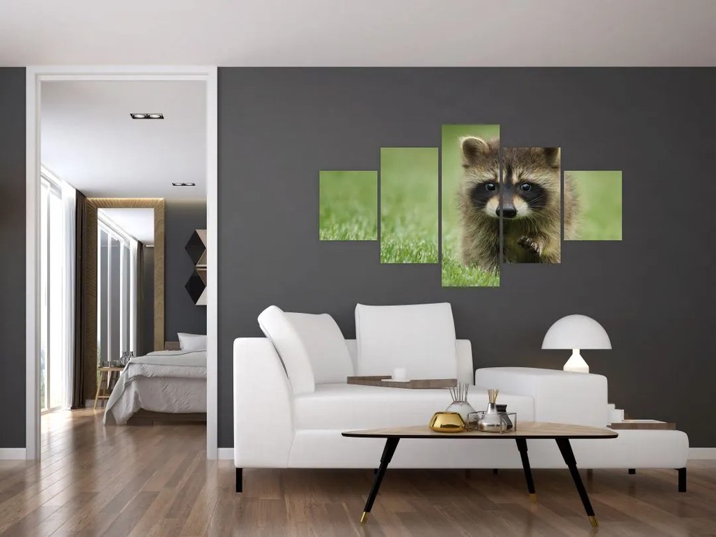 Obraz szopa pracza (125x70 cm)