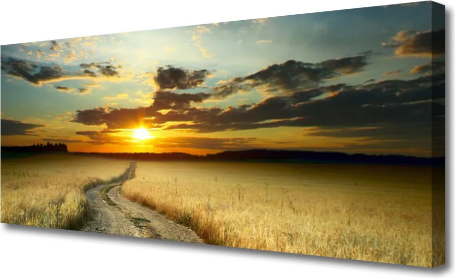 Obraz canvas Droga przez Złote Pola