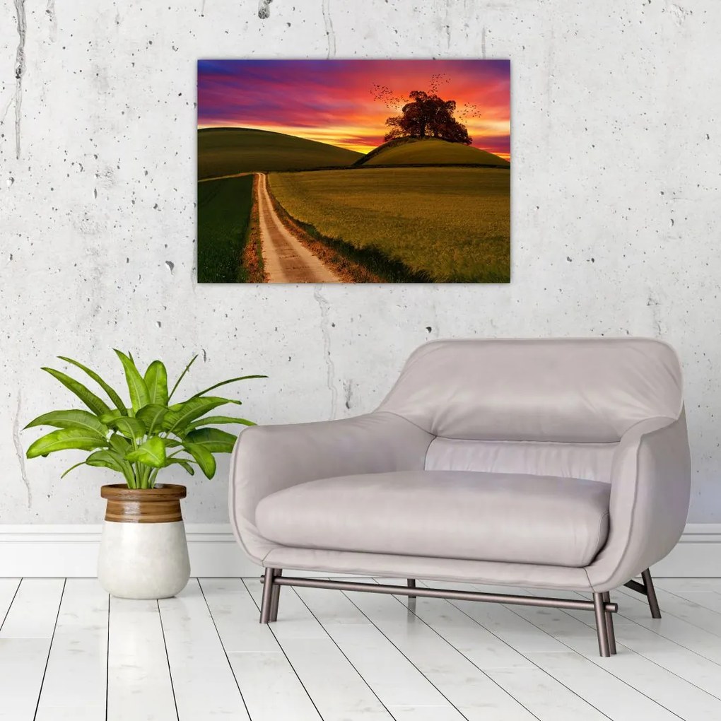 Obraz pola z zachodem słońca (70x50 cm)