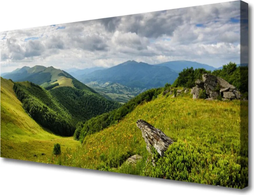 Obraz na płótnie Górska Polana o Poranku