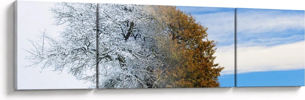 Obraz - Zmiana pór roku (170x50 cm)