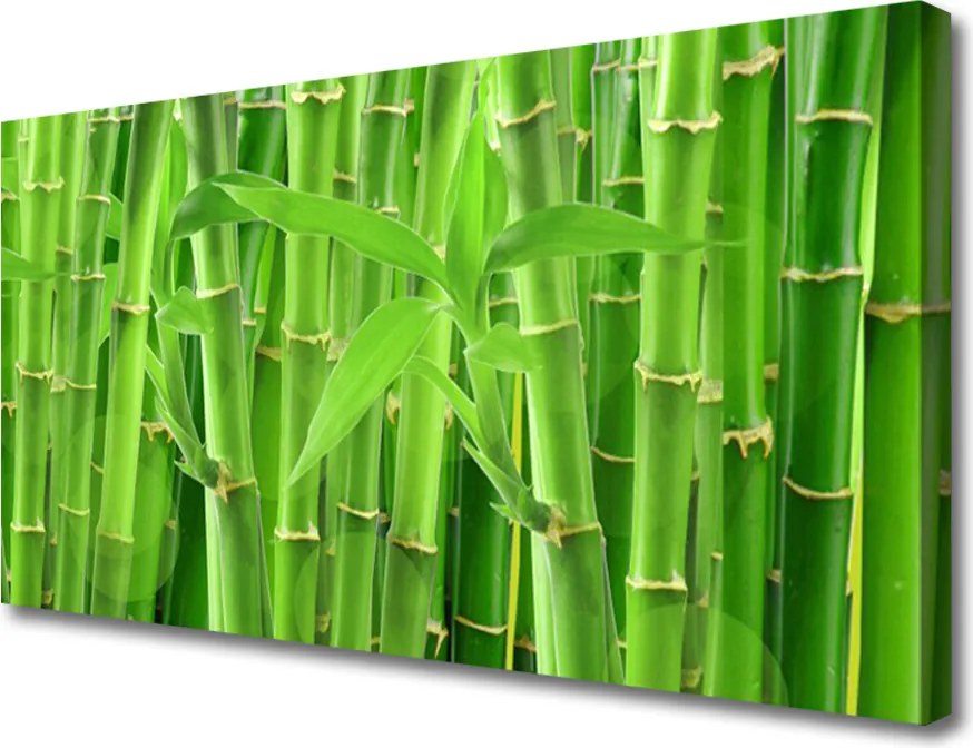 Obraz na płótnie Kwiaty i Pędy Bambusa