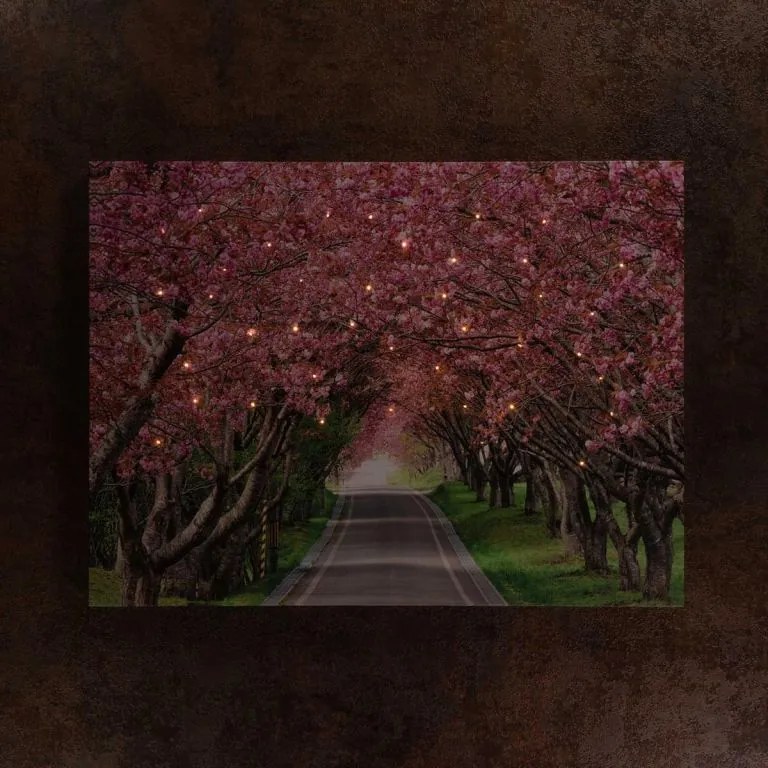Obraz ścienny przedstawiający kwitnącą aleję drzew, 40 diod