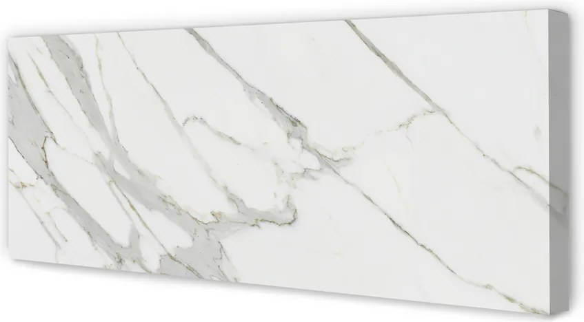 Obraz canvas na ścianę Organiczny Wzór Marmurowy