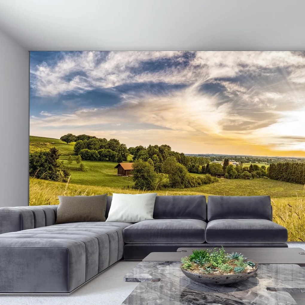 Fototapeta - Łąka (196x136 cm)