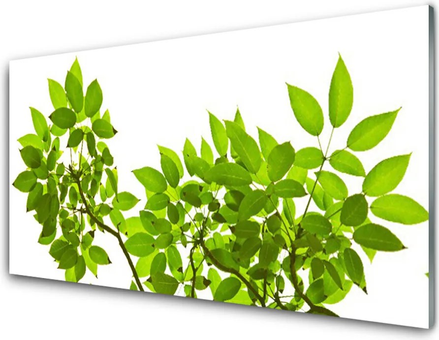 Panel Szklany do Kuchni Botaniczny Detal Roślinny