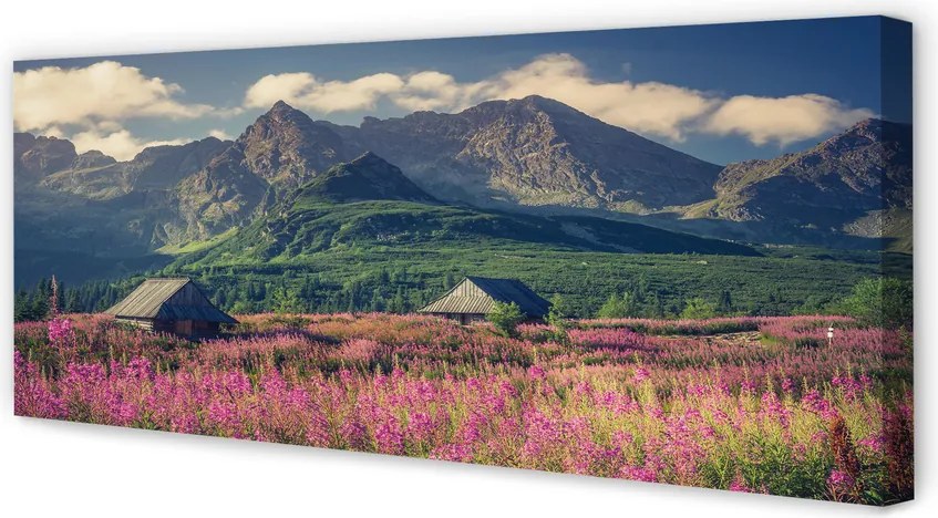 Obraz drukowany na płótnie Góry, Pola i Domki