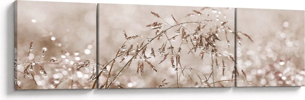Obraz - Łąka w odcieniach brązu (170x50 cm)