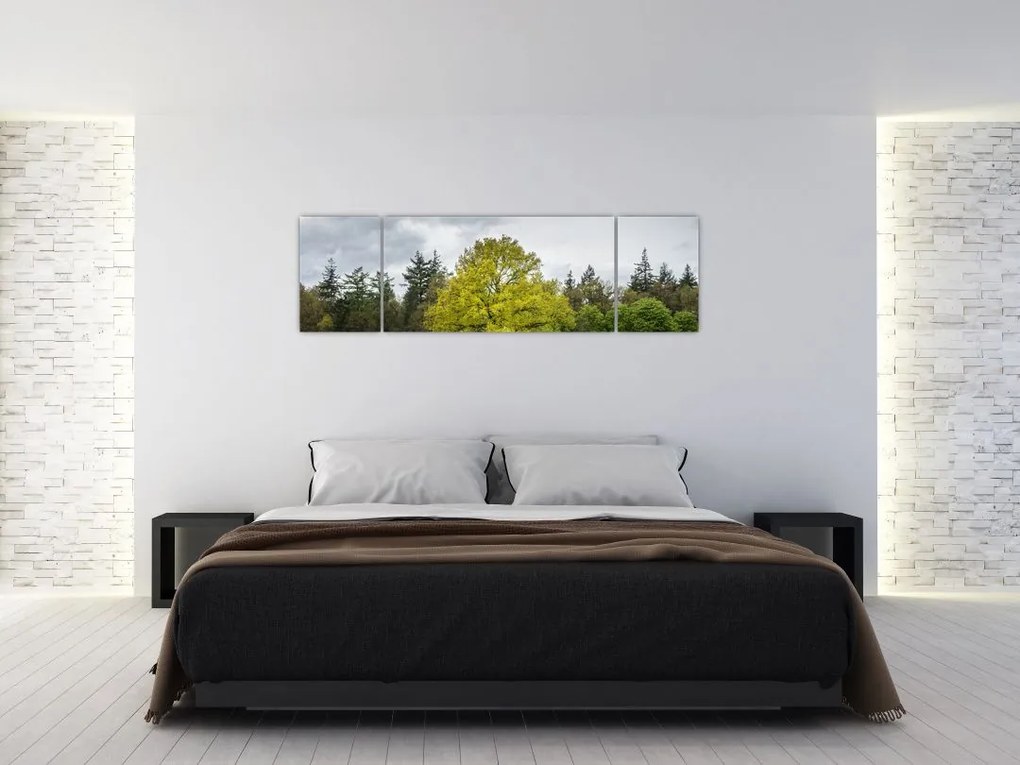 Obraz zielonego drzewa na środku pola (170x50 cm)