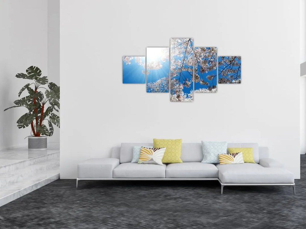 Obraz - Wiśniowe kwiaty (125x70 cm)