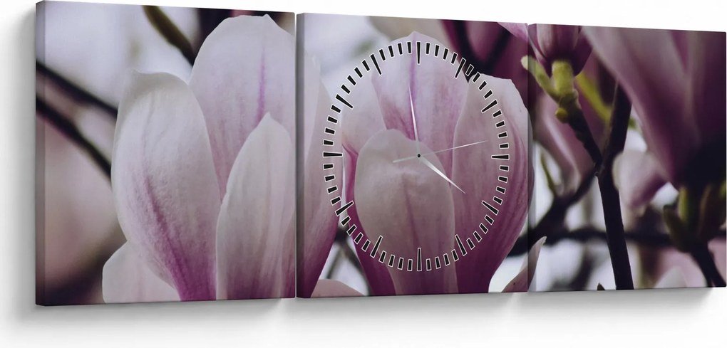 Obraz - Magnolia (z zegarem) (90x30 cm)