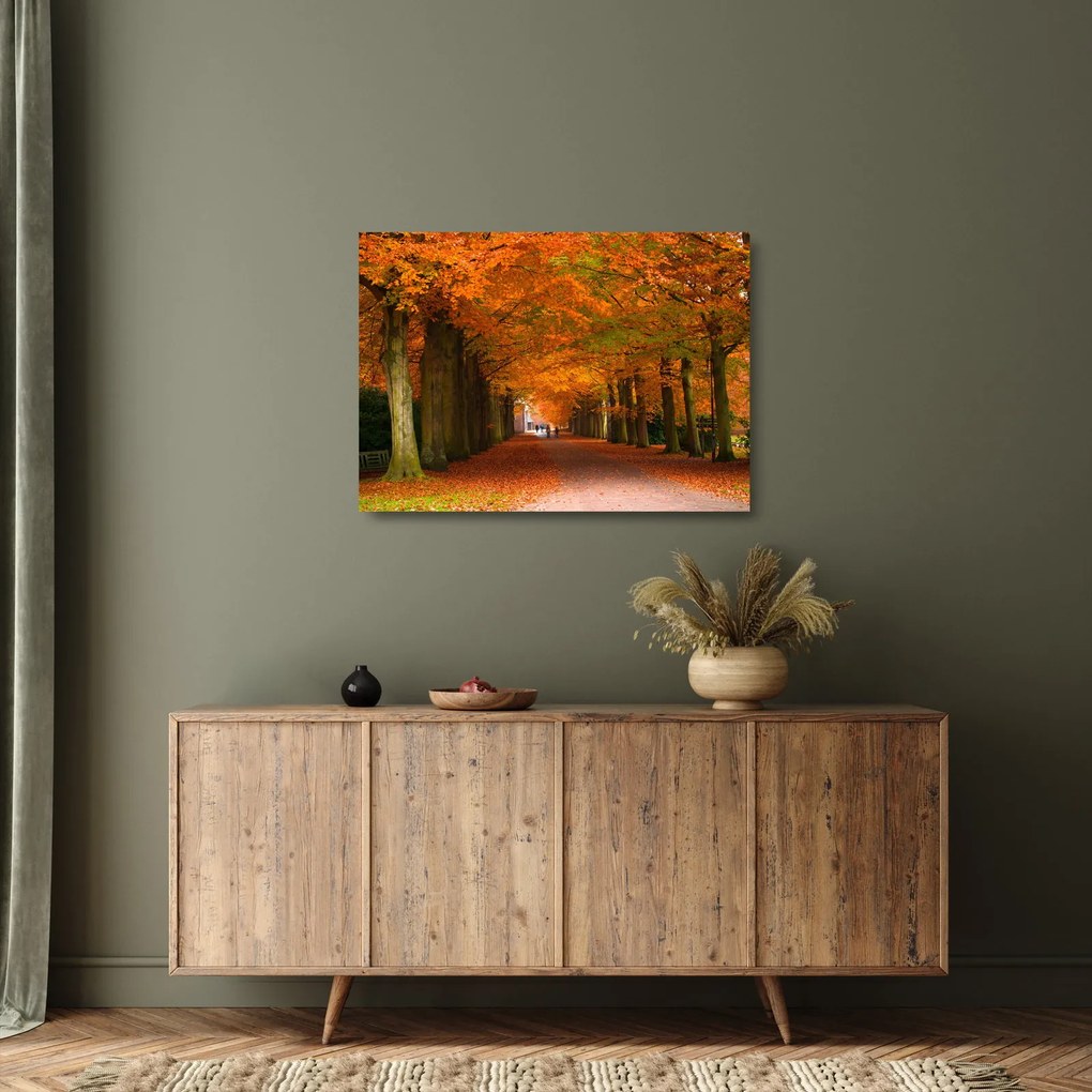 Obraz na szkle - Aleja drzew jesienią (70x50 cm)