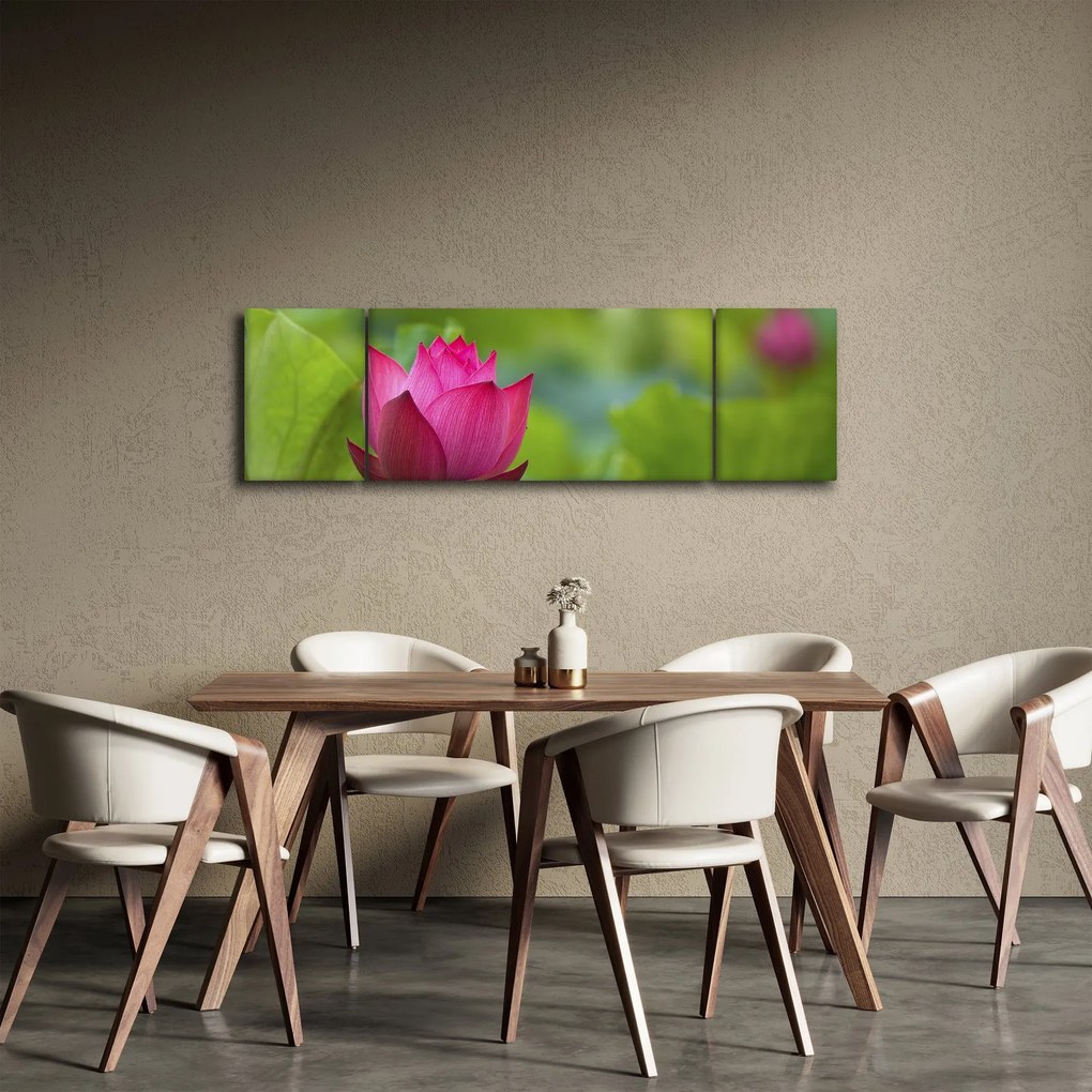 Obraz - roślina wodna (170x50 cm)