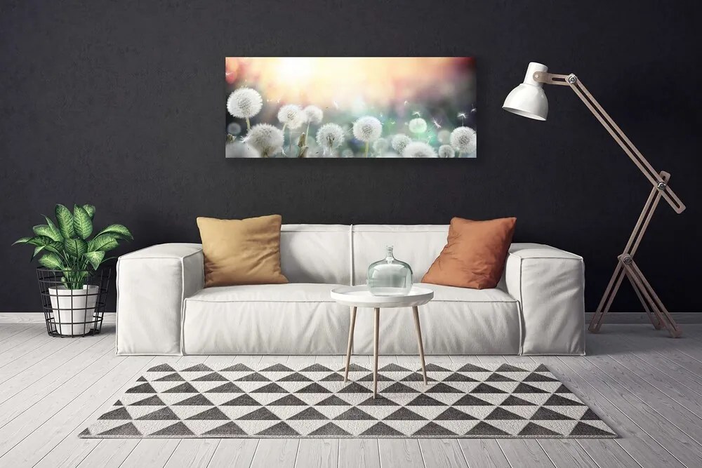 Obraz canvas Lekkość Polnych Dmuchawców