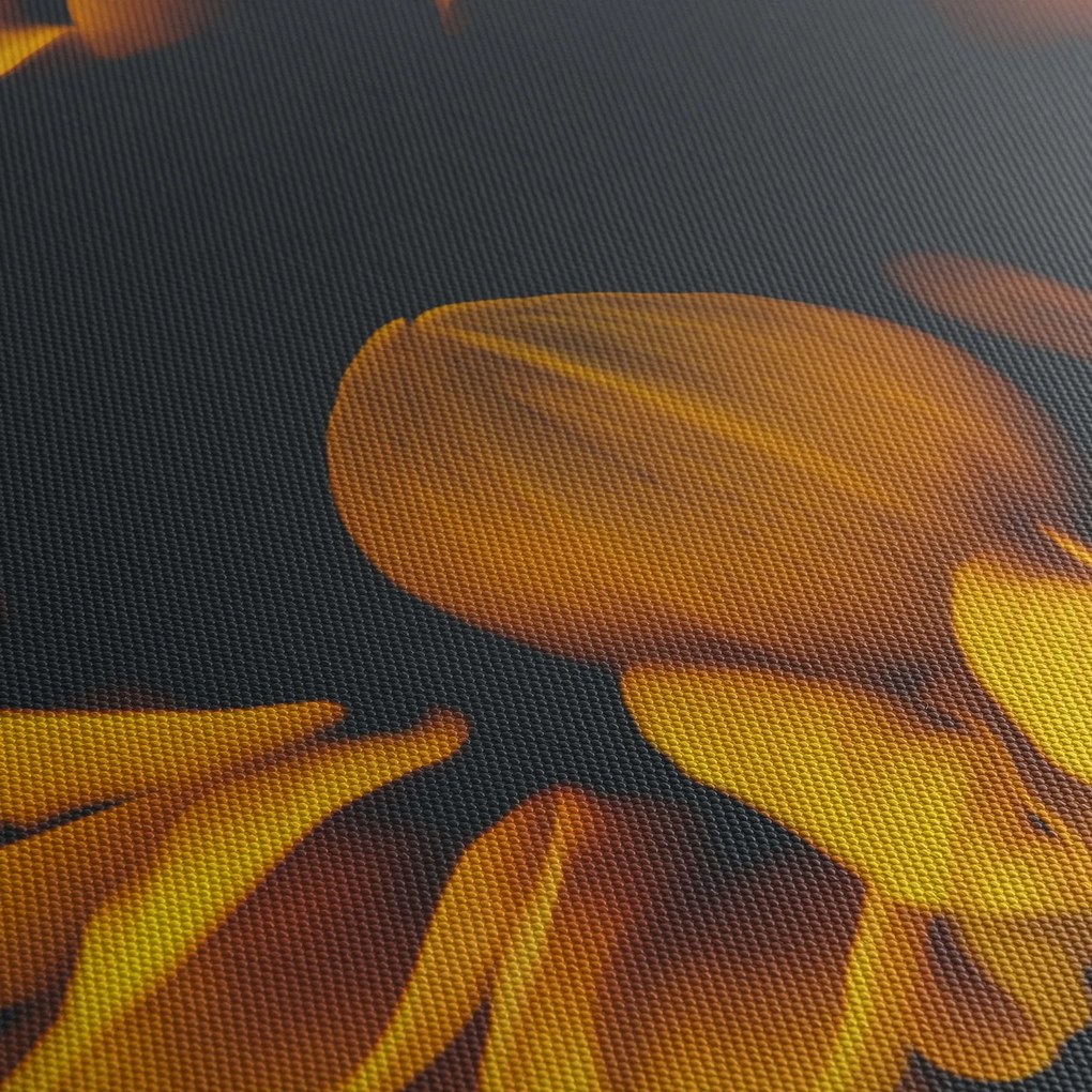 Obraz - Słoneczniki na czarnym tle (70x50 cm)